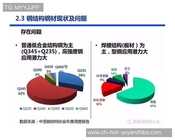 足球官员席的权力与责任探讨及其对赛事公正性的影响分析